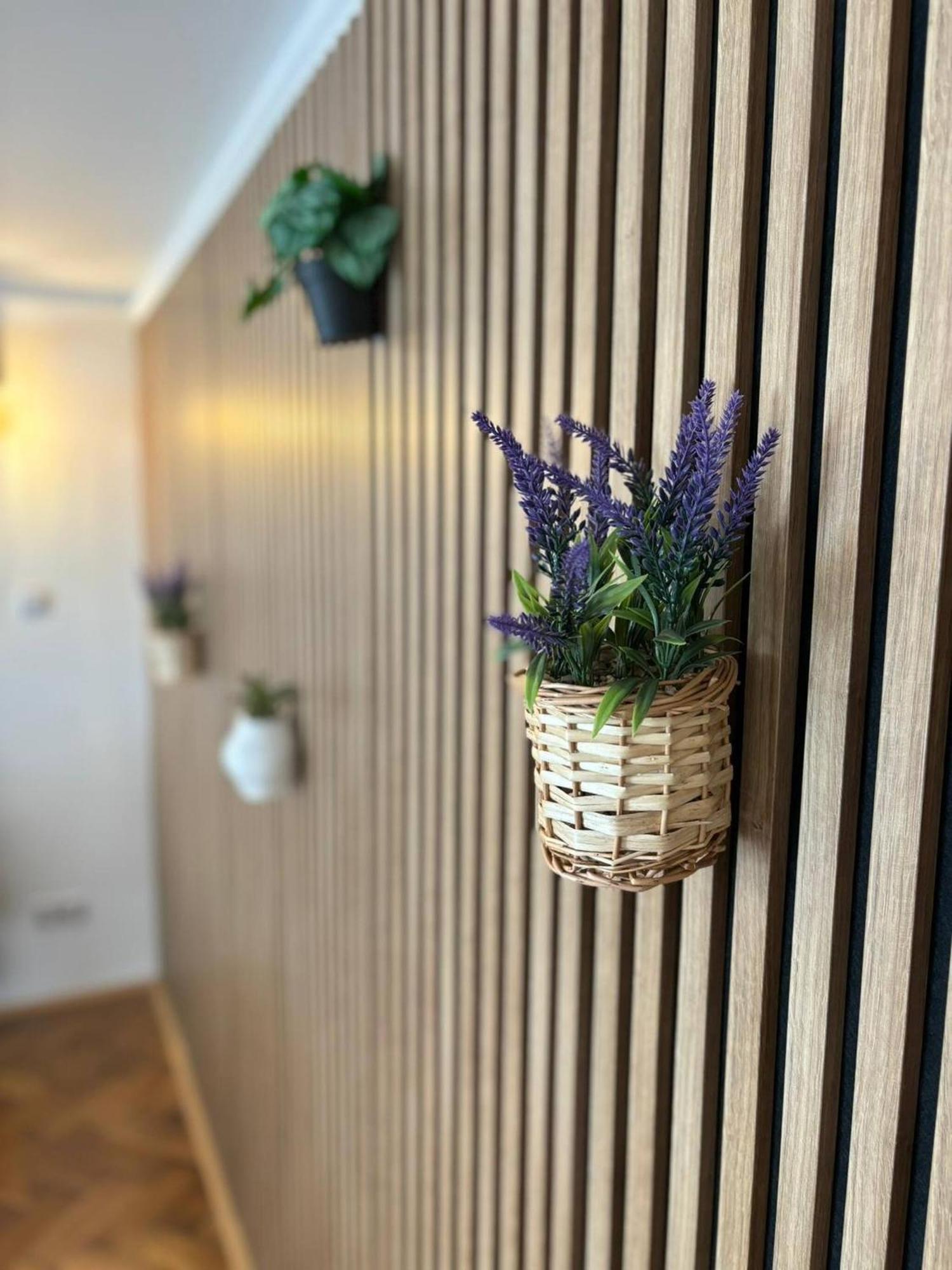 Luxury In Heart Of Prague